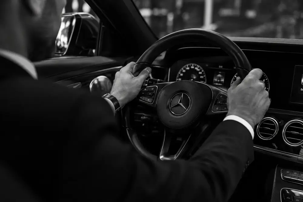 chauffeur (4)